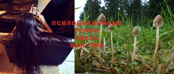 прущая мука Дмитровск