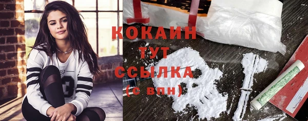 прущая мука Дмитровск