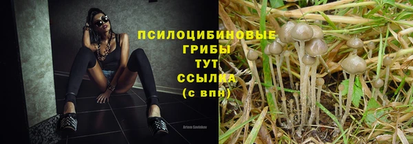 прущая мука Дмитровск