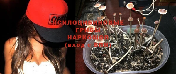 прущая мука Дмитровск
