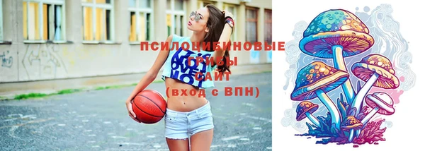 прущая мука Дмитровск