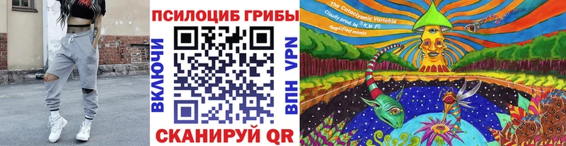 blacksprut рабочий сайт  Зеленоградск  Псилоцибиновые грибы мицелий 
